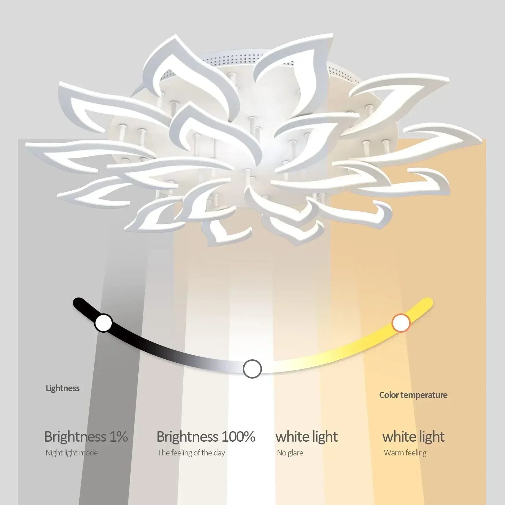 Desainer LED kelopak lampu gan - Interior Design Years ulasan dan harga